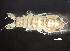  ( - HMSC174-00402)  @11 [ ] by-nc-sa  Unspecified Huntsman Marine Science Centre