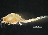  ( - HMSC174-00407)  @11 [ ] by-nc-sa  Unspecified Huntsman Marine Science Centre