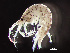  ( - HMSC174-00458)  @11 [ ] by-nc-sa  Unspecified Huntsman Marine Science Centre