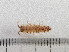  ( - HMSC174-00500)  @11 [ ] by-nc-sa  Unspecified Huntsman Marine Science Centre