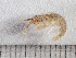 ( - HMSC174-00533)  @11 [ ] by-nc-sa  Unspecified Huntsman Marine Science Centre