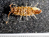  ( - HMSC174-00912)  @11 [ ] CreativeCommons - Attribution Non-Commercial Share-Alike (2023) Unspecified Huntsman Marine Science Centre