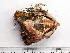  ( - HMSC229_07)  @11 [ ] by-nc-sa  Unspecified Huntsman Marine Science Centre