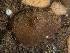  ( - HMSC174_02780)  @11 [ ] CreativeCommons - Attribution Share-Alike  Unspecified Huntsman Marine Science Centre