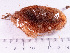  ( - HMSC174_02780)  @11 [ ] CreativeCommons - Attribution Share-Alike  Unspecified Huntsman Marine Science Centre