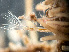 ( - HMSC174-01665)  @11 [ ] by-nc-sa  Unspecified Huntsman Marine Science Centre