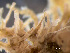  ( - HMSC174-01665)  @11 [ ] by-nc-sa  Unspecified Huntsman Marine Science Centre