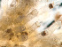  ( - HMSC174-01666)  @11 [ ] by-nc-sa  Unspecified Huntsman Marine Science Centre