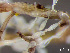  ( - HMSC174-01669)  @11 [ ] by-nc-sa  Unspecified Huntsman Marine Science Centre