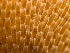  ( - HMSC174-03491)  @11 [ ] by-nc-sa  Unspecified Huntsman Marine Science Centre