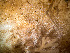  ( - HMSC174_03954)  @11 [ ] by-nc-sa  Unspecified Huntsman Marine Science Centre