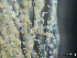  ( - HMSC174-00132)  @11 [ ] by-nc-sa  Unspecified Huntsman Marine Science Centre