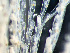  ( - HMSC174-00138)  @11 [ ] by-nc-sa  Unspecified Huntsman Marine Science Centre