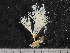  ( - HMSC174-00336)  @11 [ ] CreativeCommons - Attribution Non-Commercial Share-Alike (2023) Unspecified Huntsman Marine Science Centre