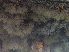  ( - PTJ_CEG07)  @11 [ ] CreativeCommons - Attribution Share-Alike (2025) Unspecified Huntsman Marine Science Centre