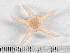  ( - HMSC174-01549)  @11 [ ] by-nc-sa  Unspecified Huntsman Marine Science Centre