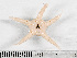  ( - HMSC174-01549)  @11 [ ] by-nc-sa  Unspecified Huntsman Marine Science Centre
