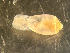  ( - HMSC174_03034)  @11 [ ] by-nc-sa  Unspecified Huntsman Marine Science Centre