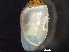  ( - HMSC174_03034)  @11 [ ] by-nc-sa  Unspecified Huntsman Marine Science Centre