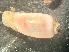  ( - HMSC174_03044)  @11 [ ] by-nc-sa  Unspecified Huntsman Marine Science Centre