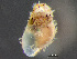  ( - HMSC174_03149)  @11 [ ] by-nc-sa  Unspecified Huntsman Marine Science Centre