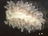  ( - HMSC174_03170)  @11 [ ] by-nc-sa  Unspecified Huntsman Marine Science Centre