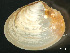 ( - HMSC174_03370)  @11 [ ] by-nc-sa  Unspecified Huntsman Marine Science Centre