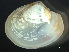  ( - HMSC174_03758)  @11 [ ] by-nc-sa  Unspecified Huntsman Marine Science Centre
