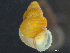  ( - HMSC174_03766)  @11 [ ] by-nc-sa  Unspecified Huntsman Marine Science Centre