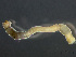  ( - HMSC174_03788)  @11 [ ] by-nc-sa  Unspecified Huntsman Marine Science Centre