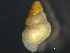  ( - HMSC174_03870)  @11 [ ] by-nc-sa  Unspecified Huntsman Marine Science Centre