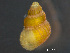  ( - HMSC174_03873)  @11 [ ] by-nc-sa  Unspecified Huntsman Marine Science Centre