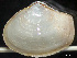  ( - HMSC174_03912)  @11 [ ] by-nc-sa  Unspecified Huntsman Marine Science Centre