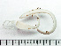  ( - HMSC174_02965)  @11 [ ] by-nc-sa  Unspecified Huntsman Marine Science Centre
