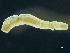 ( - HMSC174_03478)  @11 [ ] by-nc-sa  Unspecified Huntsman Marine Science Centre