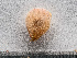  ( - HMSC174-00071)  @11 [ ] by-nc-sa  Unspecified Huntsman Marine Science Centre