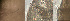  ( - HMSC174-00670)  @11 [ ] by-nc-sa  Unspecified Huntsman Marine Science Centre