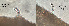  ( - HMSC174-00685)  @11 [ ] by-nc-sa  Unspecified Huntsman Marine Science Centre