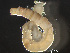  ( - HMSC174_01114)  @11 [ ] by-nc-sa  Unspecified Huntsman Marine Science Centre