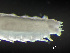 ( - HMSC174_01142)  @11 [ ] by-nc-sa  Unspecified Huntsman Marine Science Centre