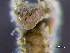  ( - HMSC174_01715)  @11 [ ] by-nc-sa  Unspecified Huntsman Marine Science Centre