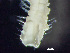  ( - HMSC174_01847)  @11 [ ] by-nc-sa  Unspecified Huntsman Marine Science Centre