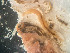  ( - HMSC174_02416)  @11 [ ] by-nc-sa  Unspecified Huntsman Marine Science Centre