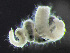  ( - HMSC174_03108)  @11 [ ] by-nc-sa  Unspecified Huntsman Marine Science Centre