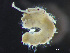  ( - HMSC174_03462)  @11 [ ] by-nc-sa  Unspecified Huntsman Marine Science Centre