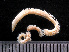  ( - HMSC174-03535)  @11 [ ] by-nc-sa  Unspecified Huntsman Marine Science Centre