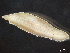  ( - HMSC174-03567)  @11 [ ] by-nc-sa  Unspecified Huntsman Marine Science Centre