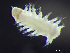  ( - HMSC174_03945)  @11 [ ] by-nc-sa  Unspecified Huntsman Marine Science Centre