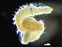  ( - HMSC174_02420)  @11 [ ] by-nc-sa  Unspecified Huntsman Marine Science Centre