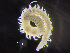 ( - HMSC174-00167)  @11 [ ] by-nc-sa  Unspecified Huntsman Marine Science Centre